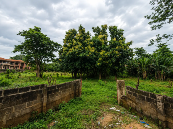 1 Acre of Prime Commercial Land